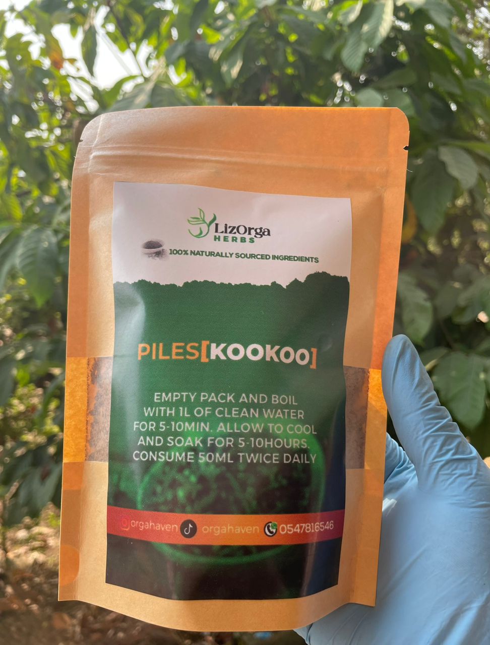 Piles Kookoo treatment